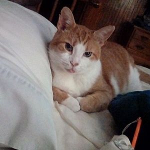 Meet your Posher, Carolyn